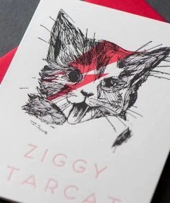 Lucinda's Ziggy Star Cat Card