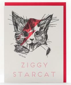 Lucinda's Official Shop 2 Lucinda's Ziggy Star Cat Card